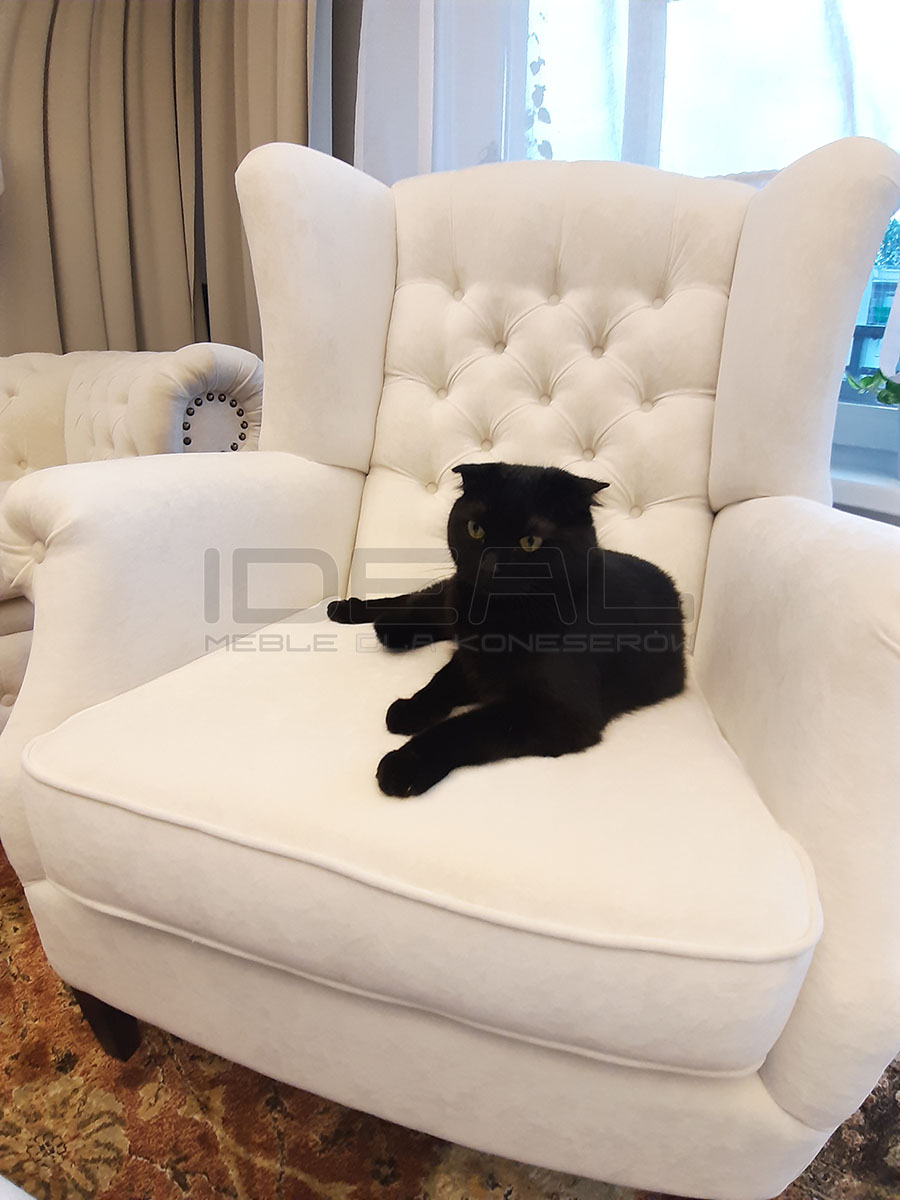 Fotel Chesterfield Uszak Old z pikowanym oparciem w pięknym kremowym aksamicie